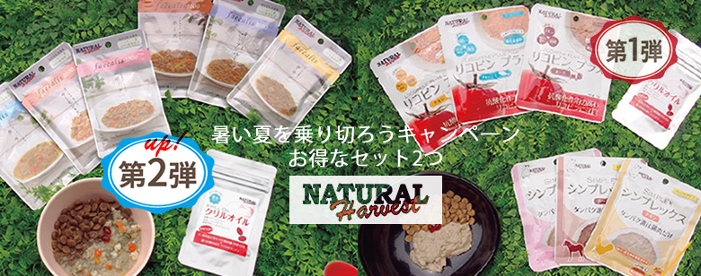 アニマストラス先着プレゼント