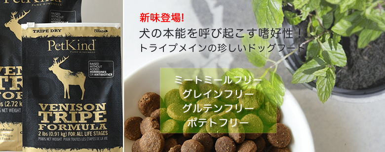 生とは違うホルモン的なおいしさ