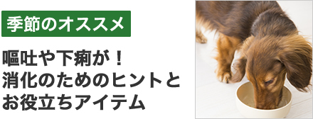 嘔吐や下痢に。消化に役立つピックアップ