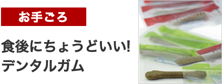 ポチオリジナルデンタルガム新登場