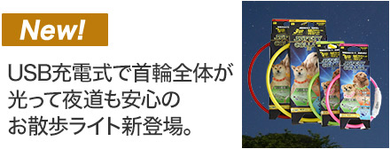 セイフティーカラー