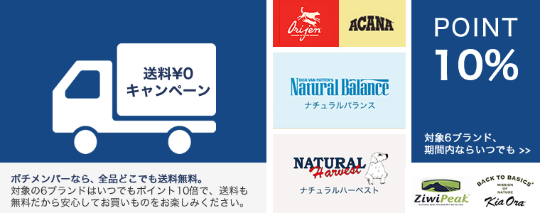 送料無料とポイント10%キャンペーン延長
