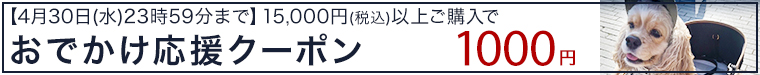 1000円クーポン