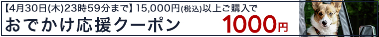 1000円クーポン