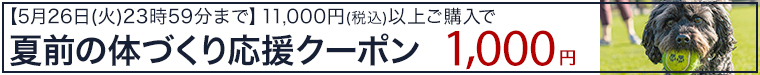 1000円クーポン