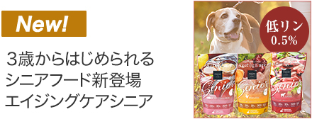 エイジングケアシニア