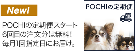 定期便