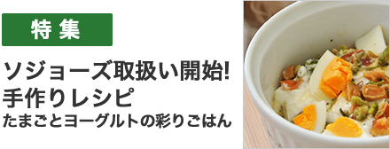 ソジョーズ(sojos)取り扱い開始で手作りごはんにチャレンジ。タマゴとヨーグルトの彩りゴハン