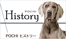 POCHI ヒストリー