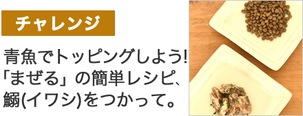 トッピングレシピ ディッシュ5