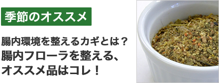 発酵ベジフルーツ