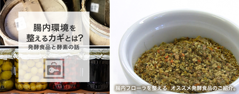 発酵ベジフルーツハーブのご紹介