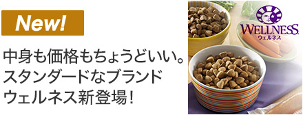 ウェルネスのご紹介