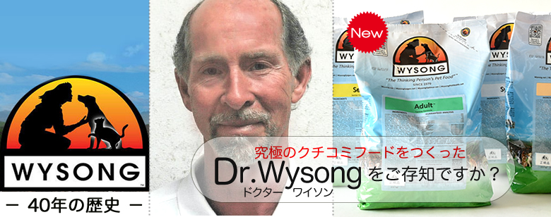 WYSONG ワイソン（ワイソング）