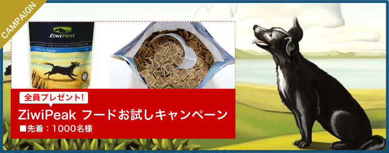 ZiwiPeak(ジウィピーク) お試しキャンペーン 先着1000名様 全員プレゼント。お早めに。