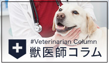 獣医師コラム