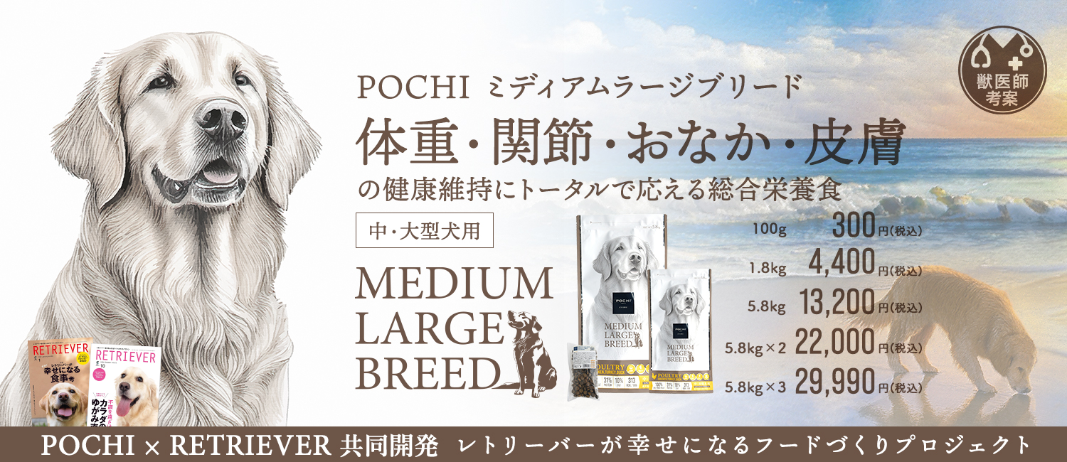 POCHI ミディアムラージブリード