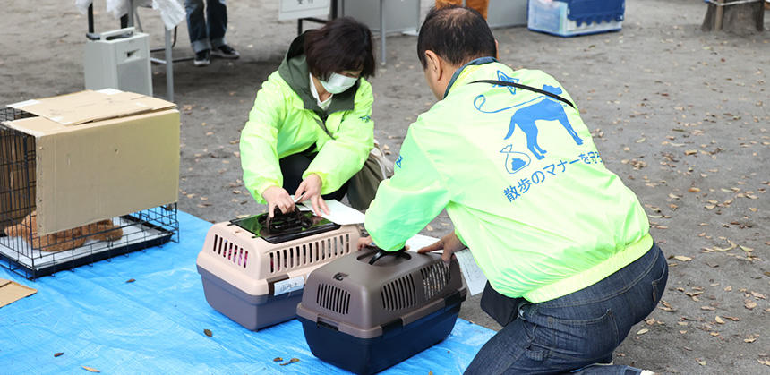 犬を入れたケージに「避難所ペット登録カード（ケージ用）」を貼ってもらいます。