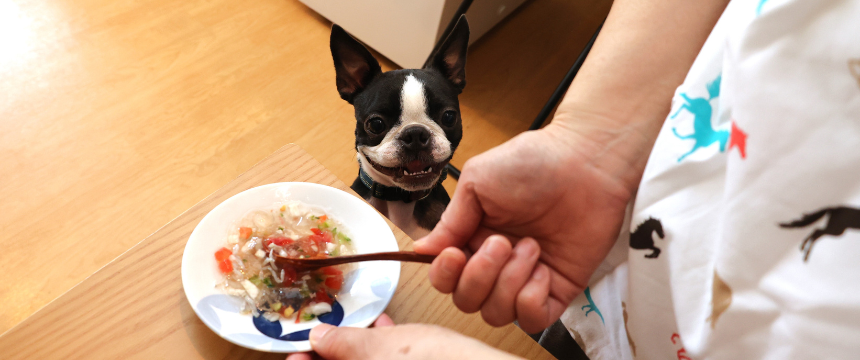 「お魚のにおいにも食欲をそそられる！　早く食べたいよ～♪」　