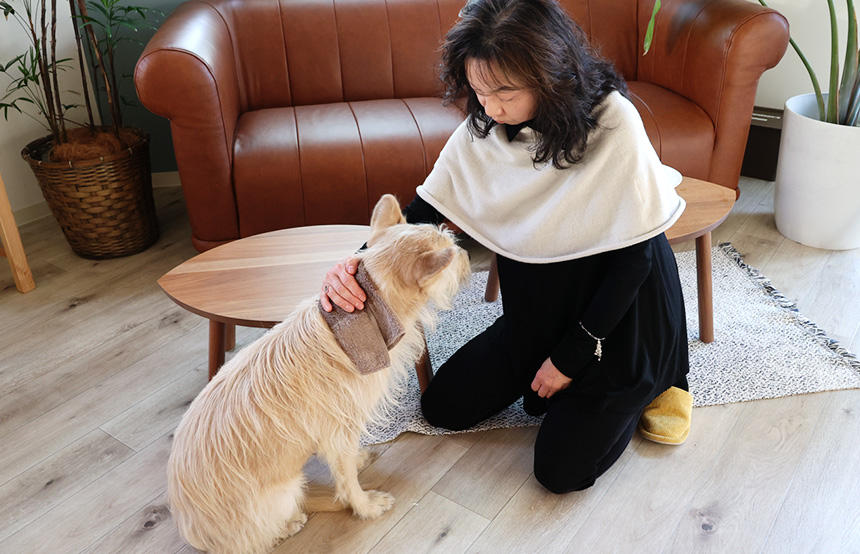 犬へのハーブ療法の一コマ