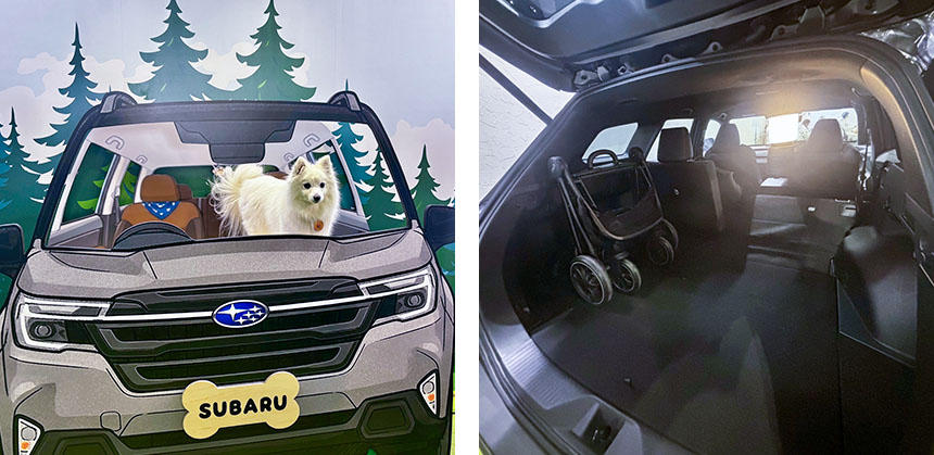 SUBARUの記念撮影コーナーは大人気。SUBARU車のフラットな荷室は犬とのドライブを快適にしてくれます