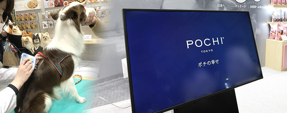 【インターペット】POCHIブースから〜シニアになる前からのヘルシー生活を、新コンセプトフードで実現！