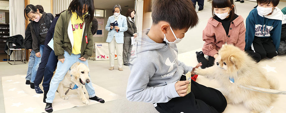 犬が学校の授業で大活躍！動物介在教育の現場とは？