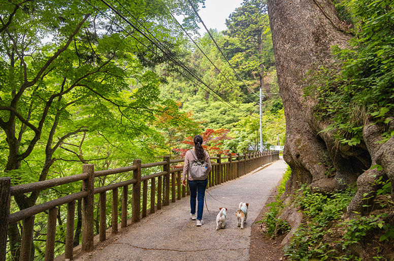 武蔵御嶽神社までは舗装されている参道が続くので、軽装でも安心