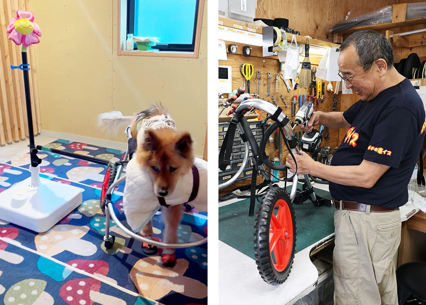 犬用車椅子での