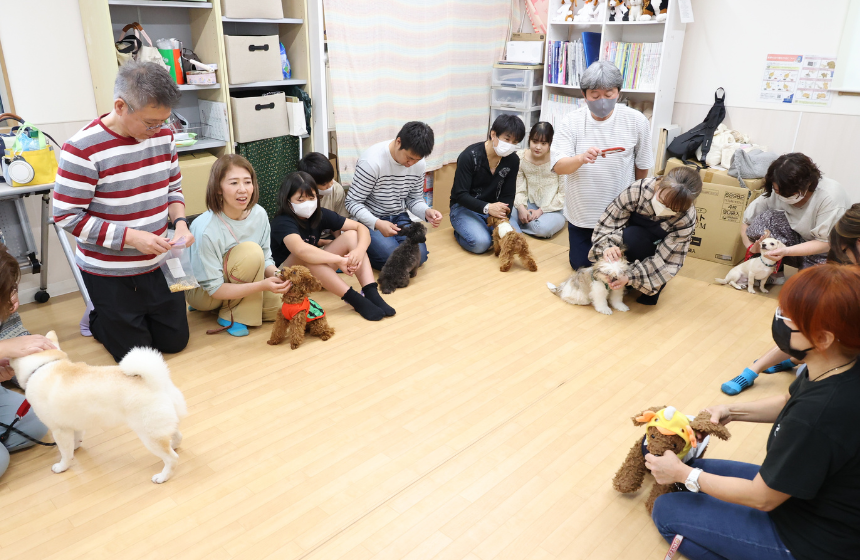 子犬のうちに「大丈夫」なことが増えると、成犬になってからのストレス軽減にもなります