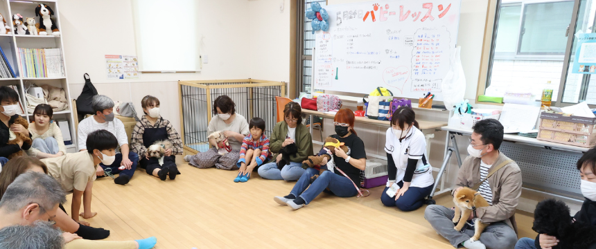 中央の黒いマスクをつけているのが前田先生。動物看護師も補助として参加