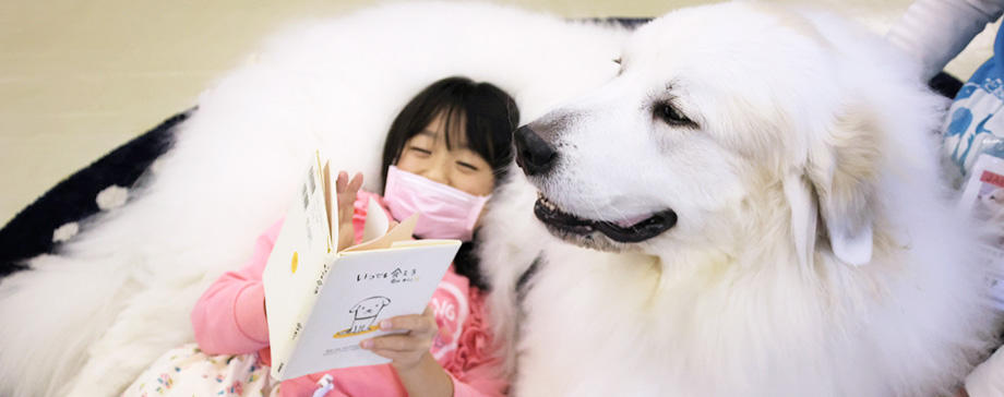 "【＃大きな犬と】""読書犬""として大きな犬が子どもたちのために大活躍！"