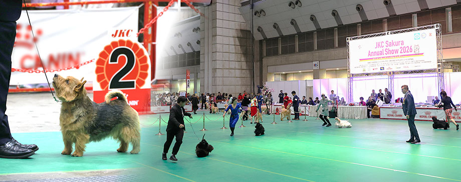 【#イベントレポ】レア犬種や美しい姿を見にアジア最大規模のドッグショーへ!