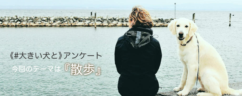 アンケート結果をチェック