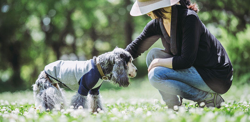 見つけられた喜びから飼い主さんは興奮しがち。落ち着いて近づき、捕獲を