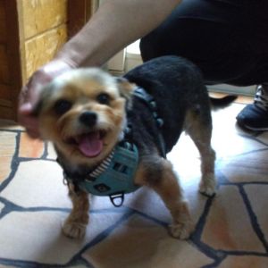 スタッフにも笑顔で挨拶をしてくれました