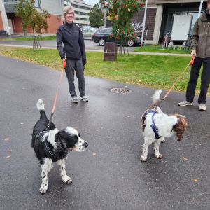 スパニエル系の犬と散歩する現地住民の方