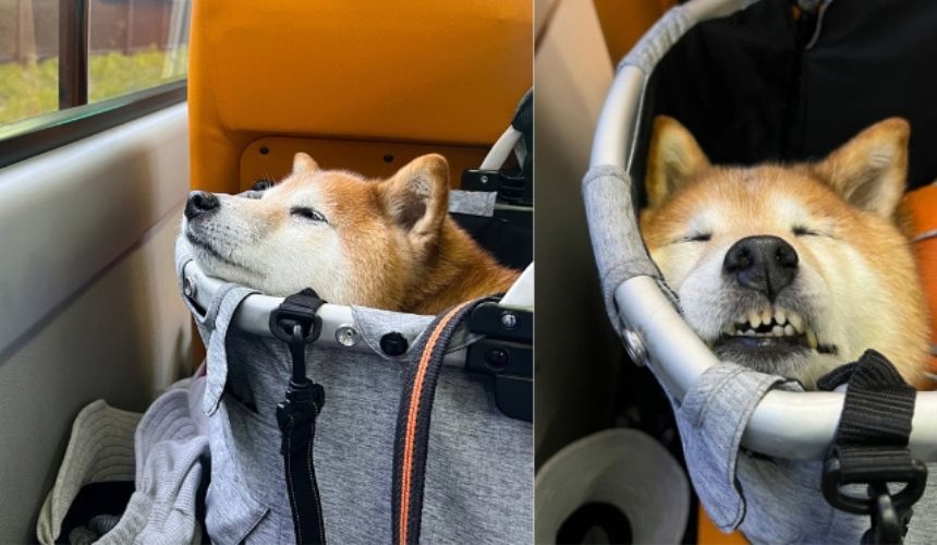 帰りのバスではすっかり慣れて、到着するまでずっと自分の席で爆睡！