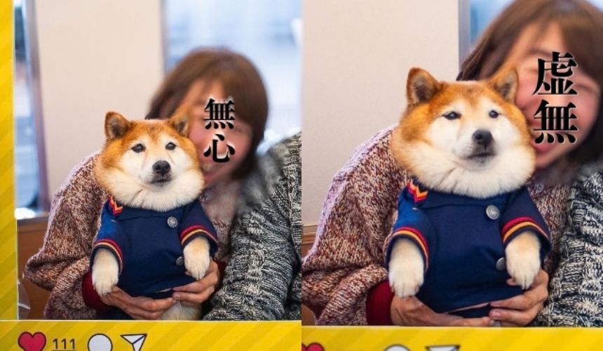 わんこ用の制服を着て記念撮影。はしゃぐ飼い主と、無心〜虚無の柴犬さん