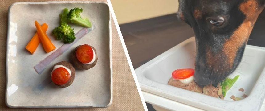 「もうすぐ敬老の日!シニア犬のための健康長寿メニュー」長生きお祝いゴハン!敬老の日プレート