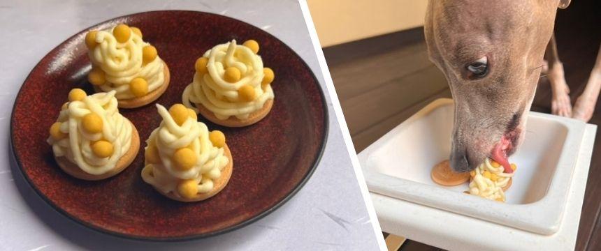 シニア犬にもおすすめ、ヘルシースイーツ チーズ風味のさつまいもモンブラン