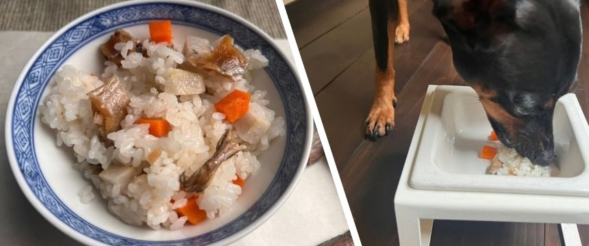 里芋とコマイのいりこめし風炊き込みご飯