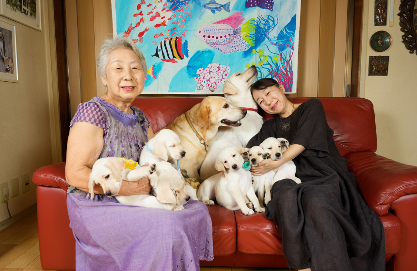 Dog Snapshot R 令和の犬景Vol.54　ひと夏の思い出　2025夏の犬景