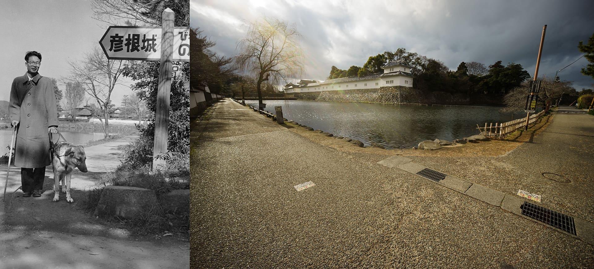 Dog Snapshot R 令和の犬景Vol.58　国産盲導犬第1号誕生から70年　「チャンピイ」が歩いた街の今昔
