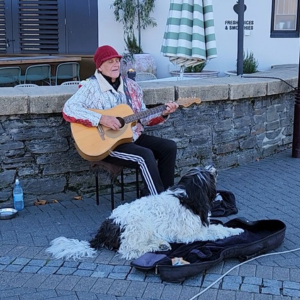 飼い主と一緒に路上パフォーマンスをする犬。音楽が好きな犬もたくさんいます。