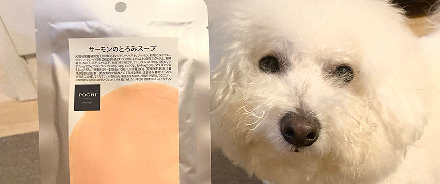 "「ヘルシーでトッピングにもおやつにも！」むぎまるちゃんが紹介するPOCHI サーモンのとろみスープの""推しポイント""は？"