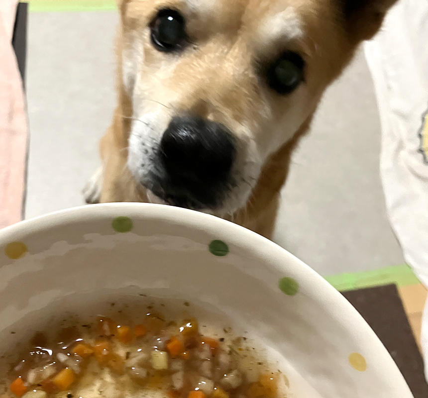 ニコちゃんの