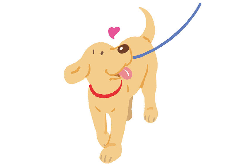 犬に必要な散歩量は一日何時間？《RETRIEVER + POCHI archive008》