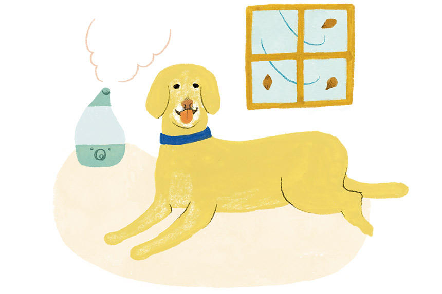 冬の快調・不調の分かれ道《RETRIEVER + POCHI archive009》