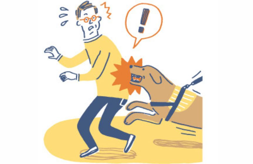 法律のプロに聞いてみた！法律・保険?〜思い出を苦笑いに変えてしまわないために〜《RETRIEVER + POCHI archive055》